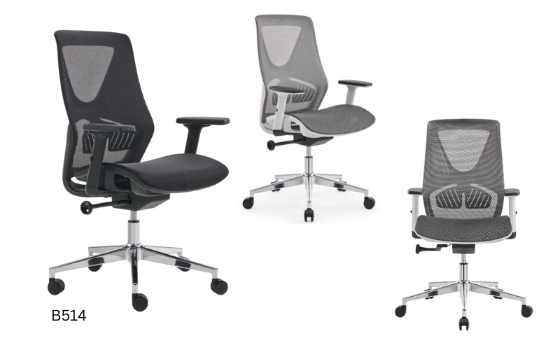 Ghế công thái học B514 
