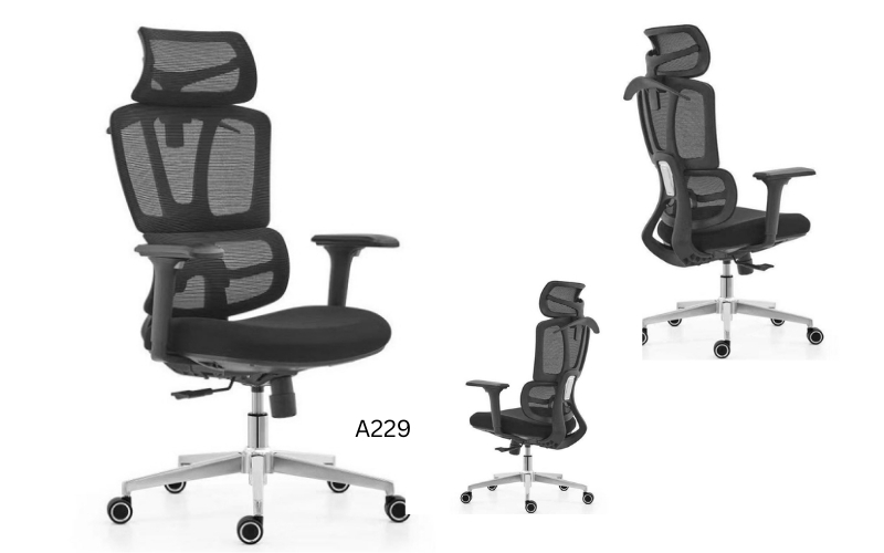 Ghế công thái học A229