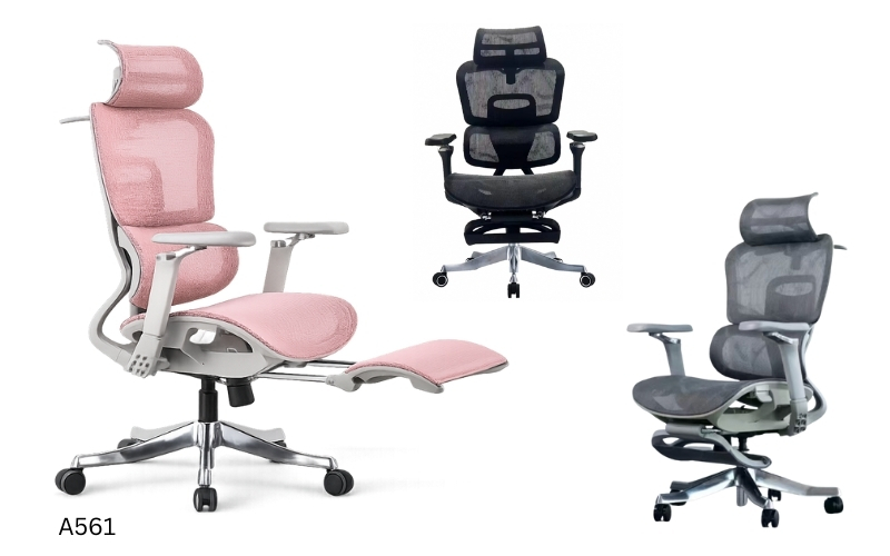 Ghế công thái học dành cho nữ A561