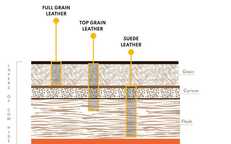 Cấu trúc của da Top Grain