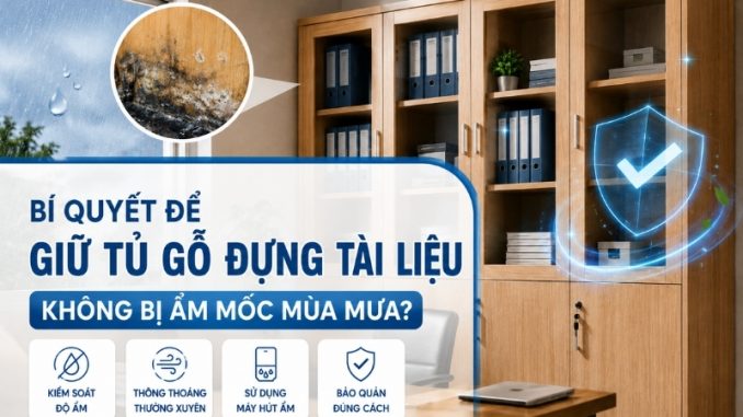 bí quyết để giữ tủ hồ sơ gỗ không bị ẩm mốc