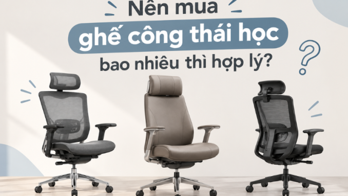 Nên chọn mua ghế công thái học giá bao nhiêu?